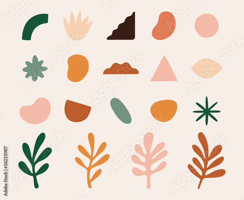 Vector set of design elements and shapes for abstract backgrounds, geometrical elements and leaves
