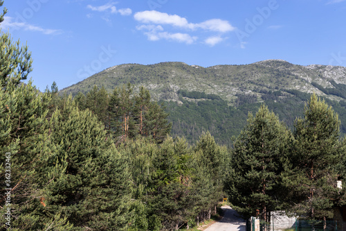 Popovi Livadi Area, Pirin Mountain, Bulgaria