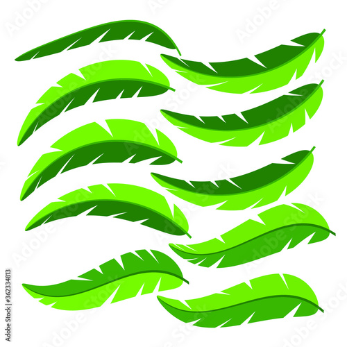 Set of palm leaves, vector illustration, flat style.