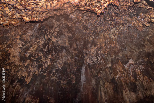 Tens of thousands of bats in huge caves in Southeast Asia. Animals hang from ceiling and fly in dark with locator. Mass of bats as direction of human diseases, including coronaviruses photo