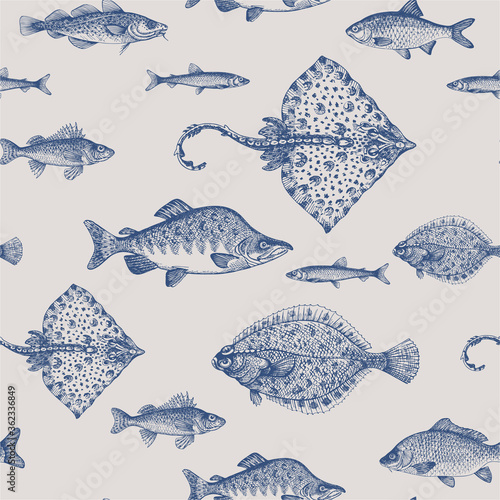 Ruff, thornback ray, carp, salmon, roach, cod, smelt, plaice. Sea fish. Fish and seafood products.
