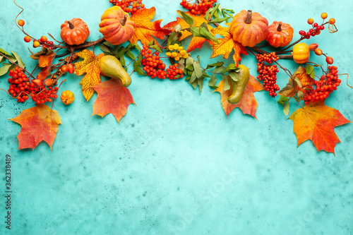 Autumn concept with pumpkins, flowers, autumn leaves and rowan berries on a turquoise background. Festive autumn decor, flat lay with copy space.