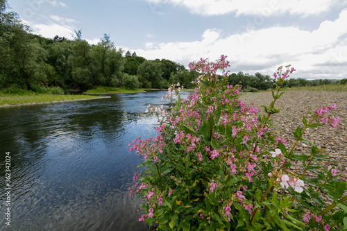 Renaturierung der Ruhr in Neheim, Arsnberg,Sauerland