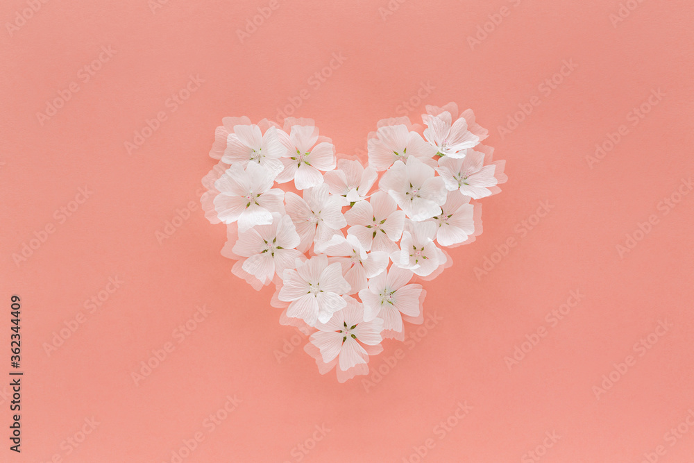 Heart of white flowers ,author's photo processing