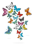 A set of bright colorful butterflies isolated on a white background