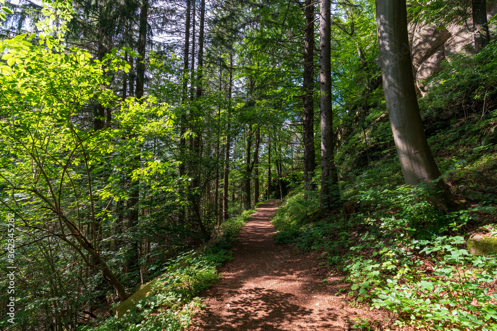 Rundweg bei der Burgruine Prandegg im Mühlviertel Oberösterreich