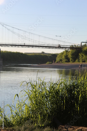 bridge over river in the forest