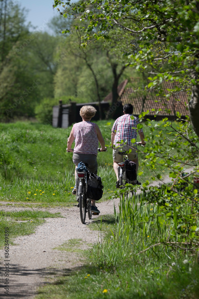 Older unrecognizable couple is cycling together over a forest path in nature reserve Rottige Meente in Munnekeburen Older unrecognizable couple is cycling together over a forest path in nature reserve Rottige Meente in Munnekeburen