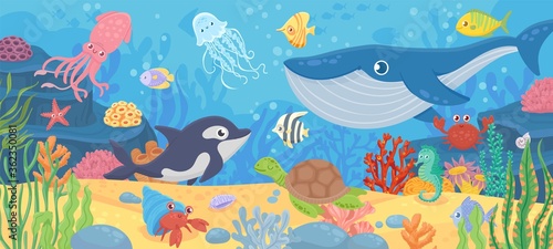 Fototapeta Naklejka Na Ścianę i Meble -  Underwater ocean life. Dolphin, exotic fishes and crab, squid. Bottom seaweeds, sea turtle and marine reef animals. Cartoon vector seascape with reef and sea animal tropical illustration