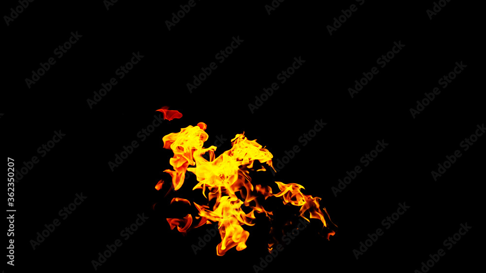Obraz premium Fire flames on black background isolated. Burning gas or gasoline burns with fire and flames. Flaming burning sparks close-up, fire patterns. Infernal glow of fire in the dark with copy-space