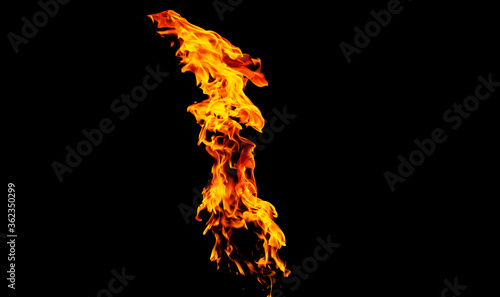 Fire flames on black background isolated. Burning gas or gasoline burns with fire and flames. Flaming burning sparks close-up, fire patterns. Infernal glow of fire in the dark with copy-space © Yevgeniy