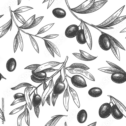 Seamless black olive pattern. Greek olives on branches with leaves, hand drawn sketch vector illustration. Greek olive twig, floral decoration fresh