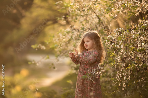 Fotografie A little girl stands next to a large blooming spring tree