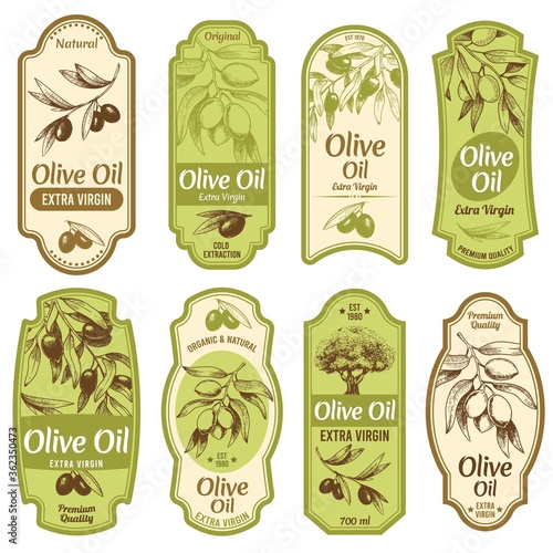 Olive oil label. Premium extra virgin oils, black olives on branches with leaves and hand drawn olive tree sketch vector illustration set. Olive virgin oil, organic emblem collection