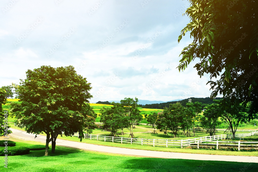 landscape view of garden park in late day which look and see mountain landscape view of garden park in late day which look and see mountain