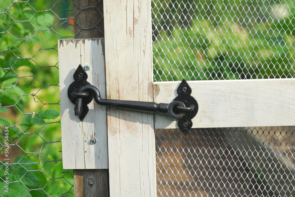 Old metal latch on garden gate with chicken coop wire, Closed garden