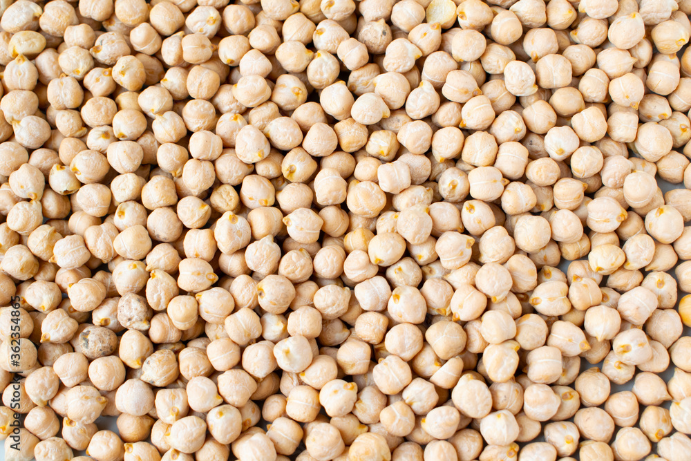 Chickpeas background. Close up photo. Chickpeas texture. Chickpeas background. Close up photo. Chickpeas texture.