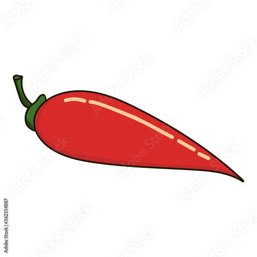 Red chilli pepper. Vector cartoon pepper.
