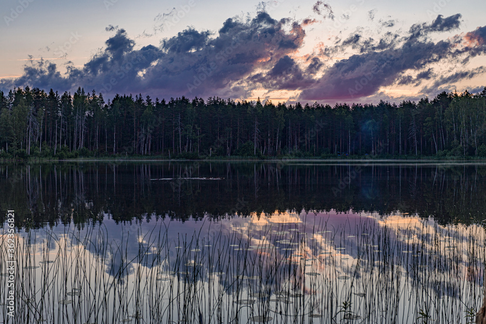 Obraz premium Lake in the forest