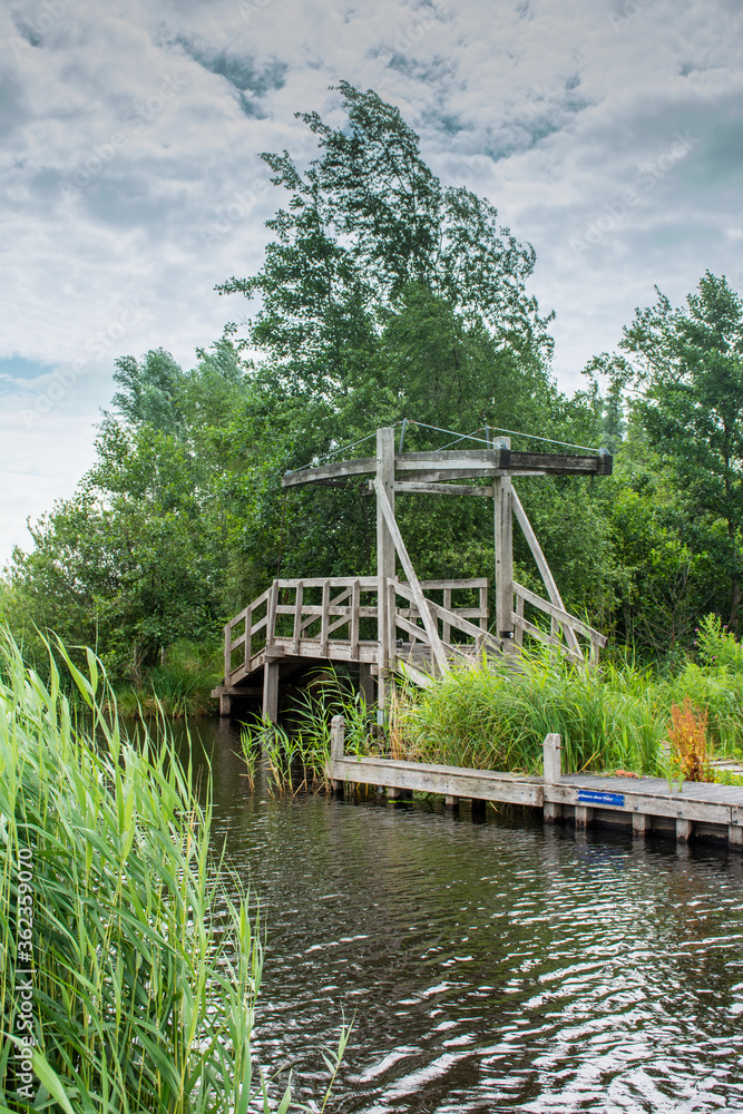 
old wooden drawbridge in the reed beds in Giethoorn, Netherlands