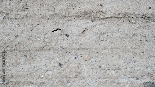  The surface of an old concrete fence