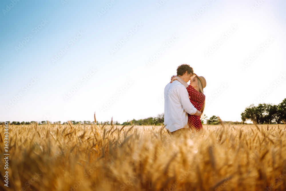 Couple having fun and enjoying relaxation in a wheat field. Teenage girlfriend and boyfriend kissing and hugging. The concept of youth, love and lifestyle. Couple having fun and enjoying relaxation in a wheat field. Teenage girlfriend and boyfriend kissing and hugging. The concept of youth, love and lifestyle.