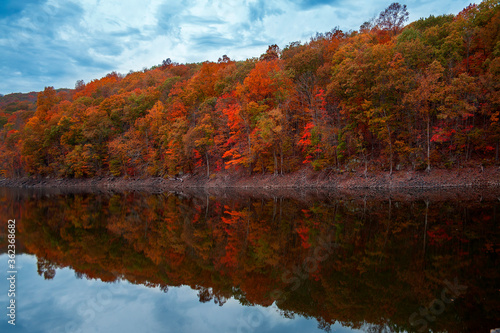 beautiful autumn connecticut forest and river