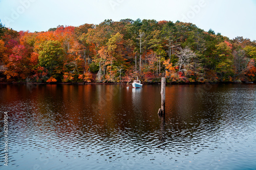 beautiful autumn connecticut forest and river
