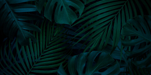 Tropical leaves background with copy space
