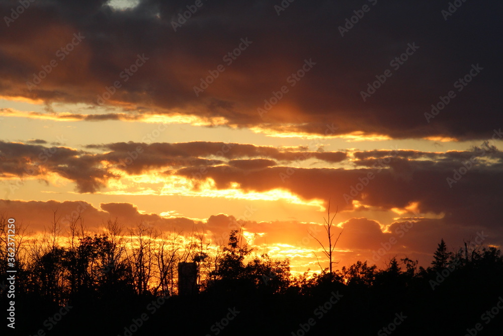 Rays Of The Sunset, Pylypow Wetlands, Edmonton, Alberta