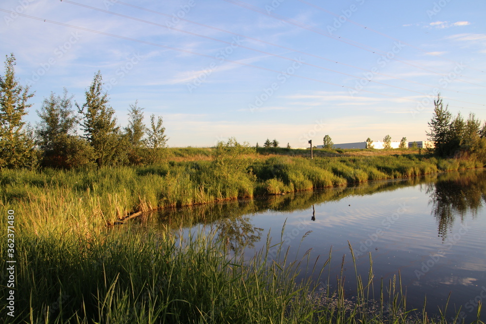 Evening On The Water, Pylypow Wetlands, Edmonton, Alberta Evening On The Water, Pylypow Wetlands, Edmonton, Alberta