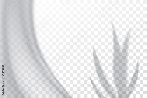 Shadow, overlay effects mock up, window frame and leaf of plants, natural light, vector illustration.