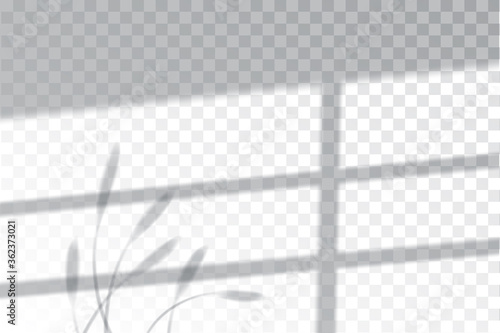 Shadow, overlay effects mock up, window frame and leaf of plants, natural light, vector illustration.