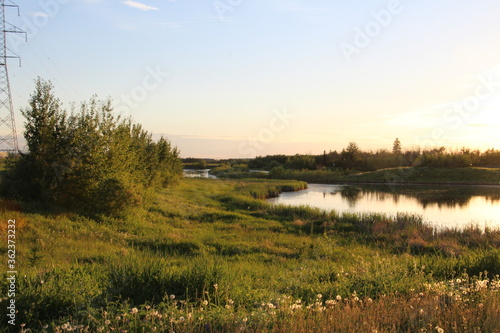 Evening On The Wetlands, Pylypow Wetlands, Edmonton, Alberta