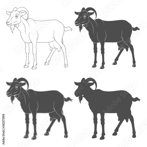 Set of black and white illustrations depicting a goat. Isolated vector objects on a white background.