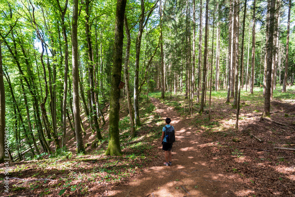 Rußberg bei Tuttlingen