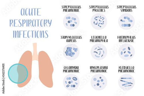 Acute respiratory tract infections. Pathogenic bacteria (cocci, bacilli). Morphology. Microbiology. Vector flat illustration photo