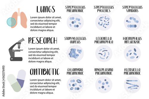 Acute respiratory tract infections. Pathogenic bacteria (cocci, bacilli). Morphology. Microbiology. Vector flat illustration photo