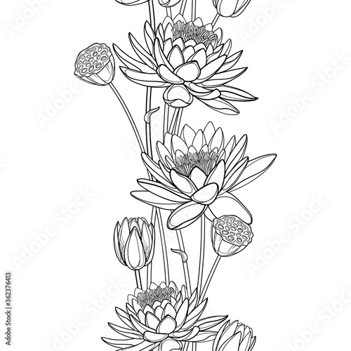 Vertical seamless pattern with outline Lotus or water lily flower, bud and seed pod in black on the white background.