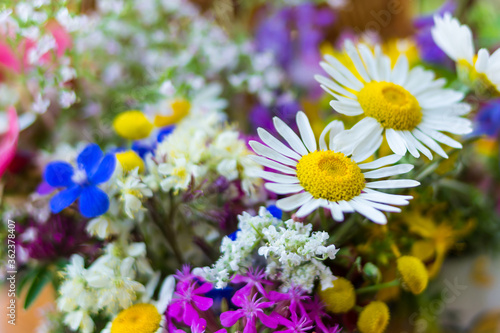 Chamomile. Bouquet of field  of flowers. Nice flourish background