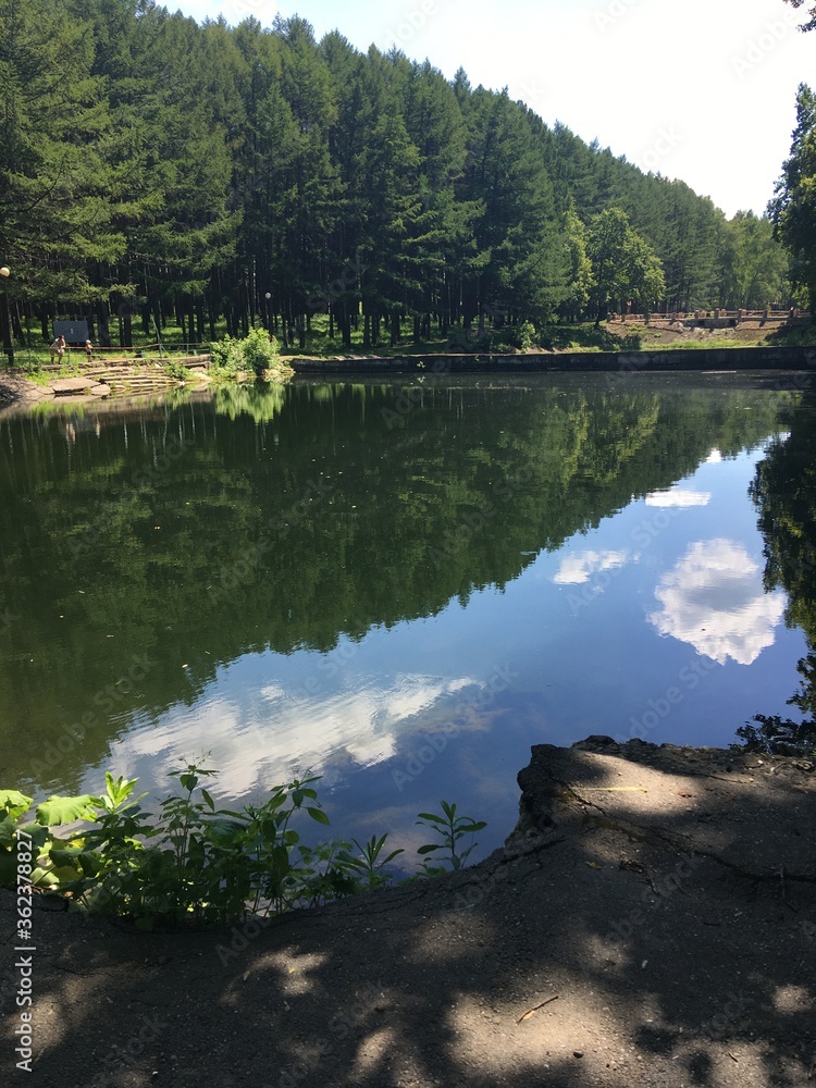 Obraz premium lake and forest