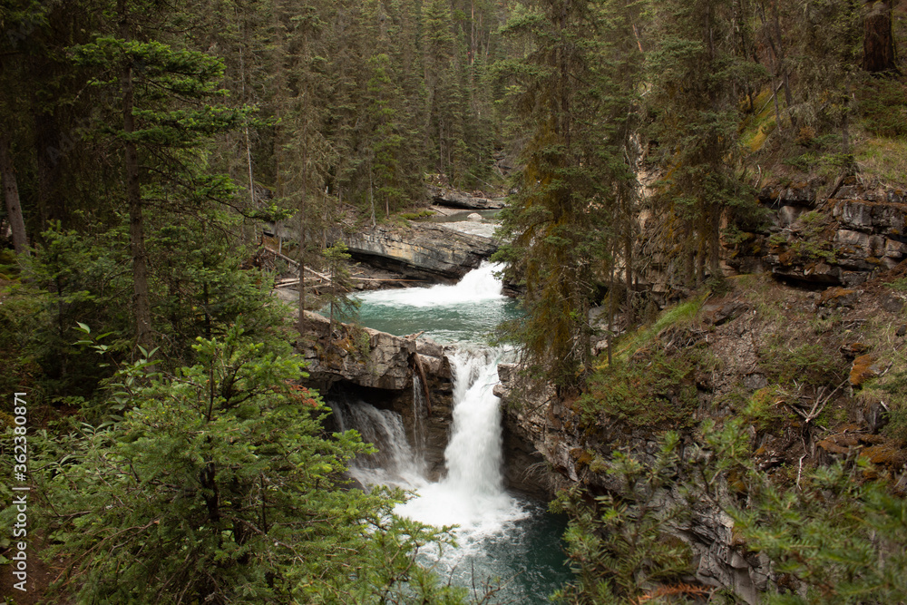 Forest waterfall Forest waterfall