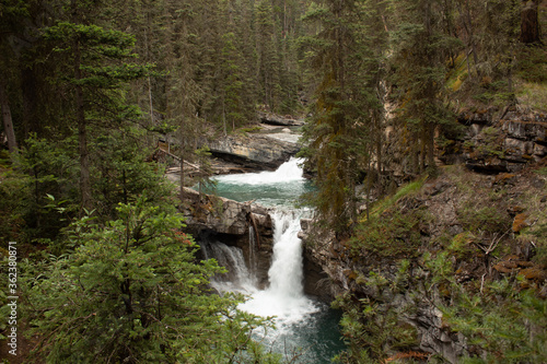 Forest waterfall