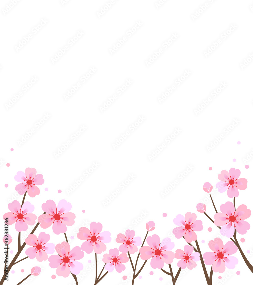 Cherry blossom branch on white background vector.