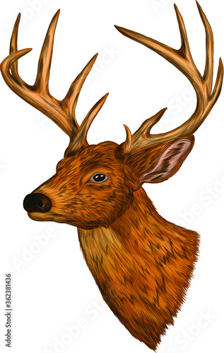 deer head with big horns brown sketch vector illustration print 