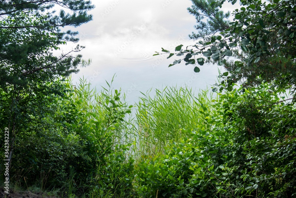 Fototapeta premium Photo of the scenery of the lake . Natural scenery
