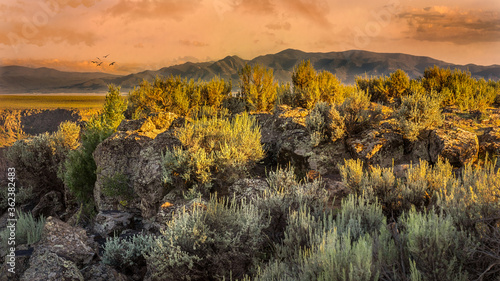 Quadro su tela Golden Hour at Rio Grande Gorge Taos