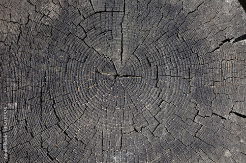 Wood texture and background