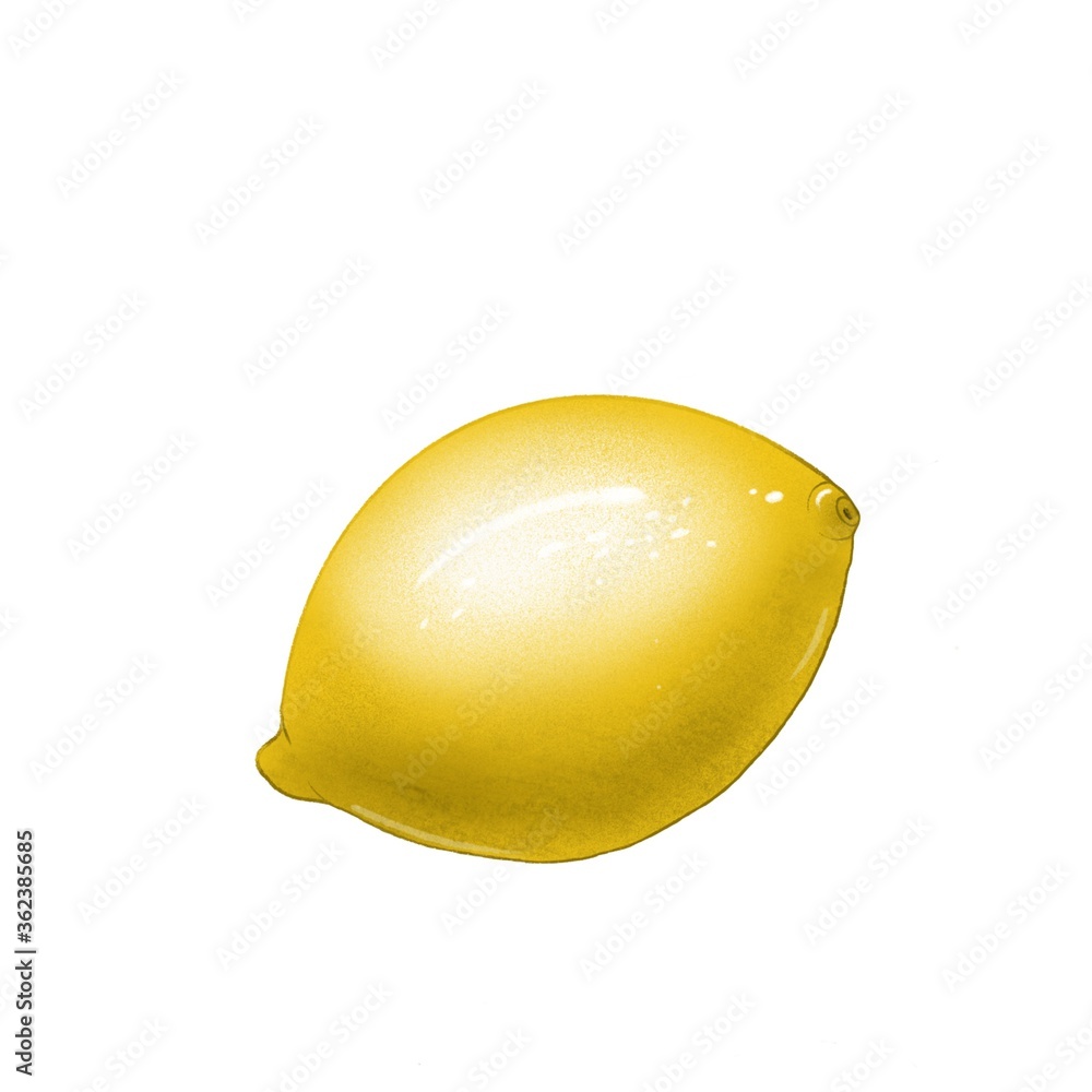 Juicy ripe lemon without leaves and shadow isolated on white background. Hand drawn digital art. Botanical illustration create by procreate. Juicy ripe lemon without leaves and shadow isolated on white background. Hand drawn digital art. Botanical illustration create by procreate.