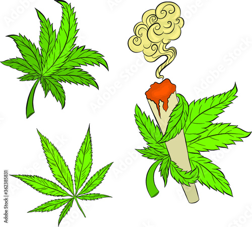 set of hemp leaves marijuana vector illustration